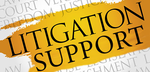 Litigation Support Services